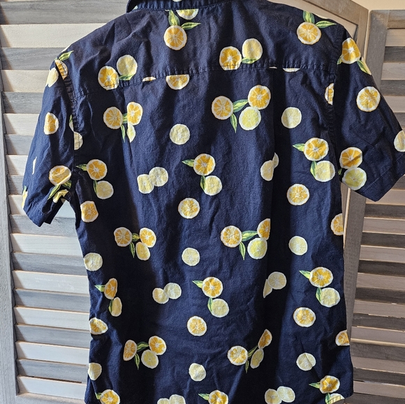 Citrus Print Men's Button Down Medium Slim Fit - Picture 3 of 6